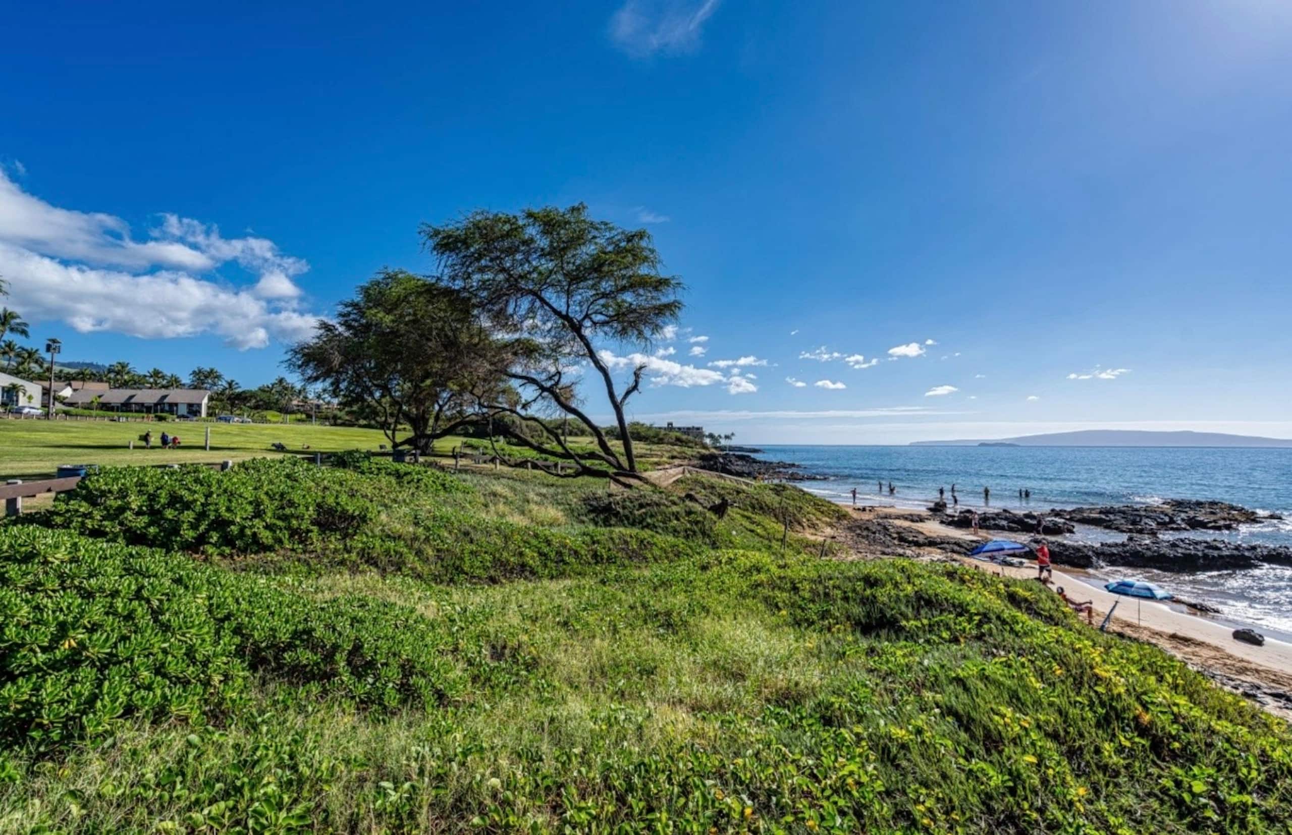 Newly Remodeled South Kihei Beach Retreat - Image 20