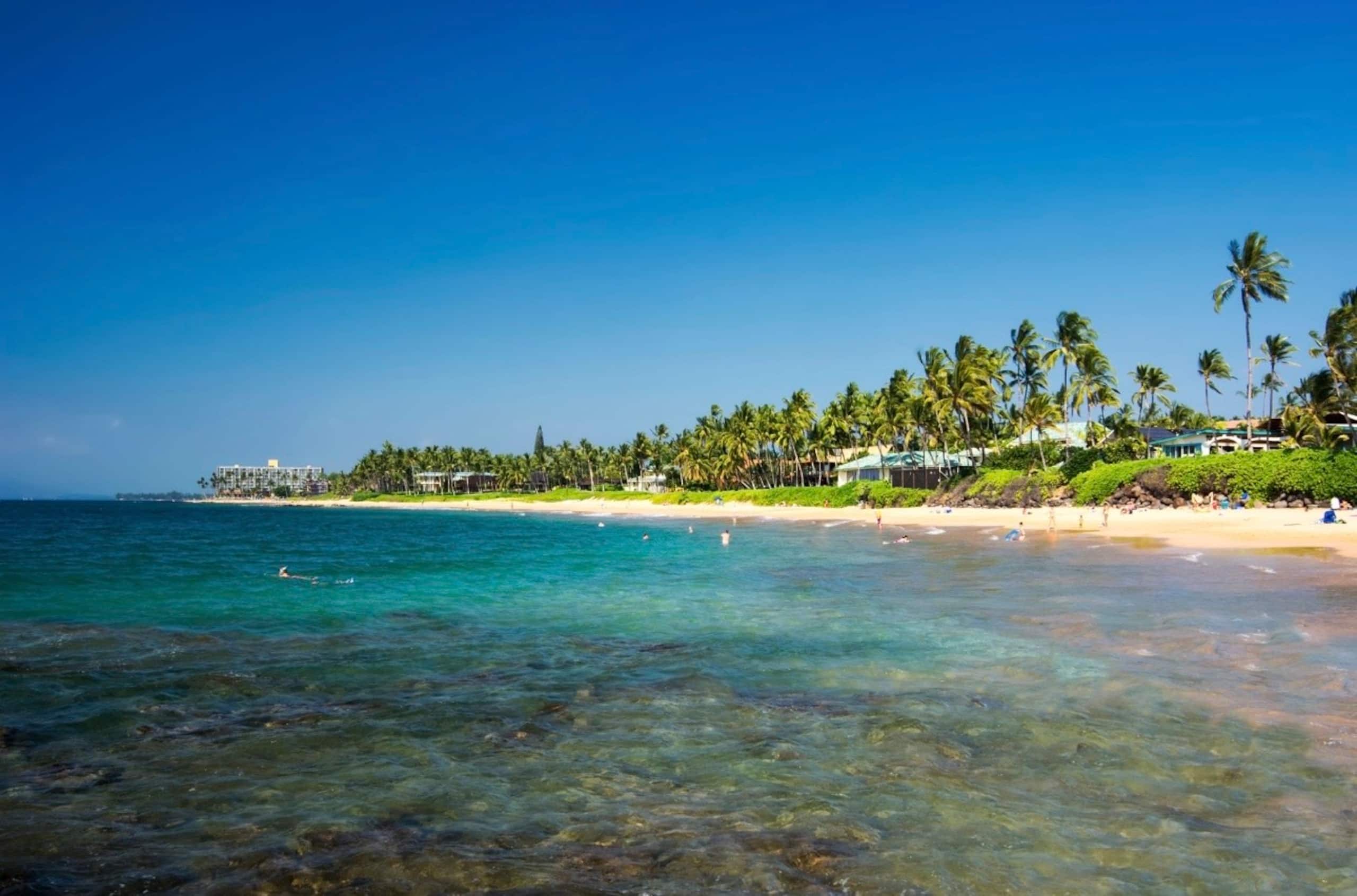 Newly Remodeled South Kihei Beach Retreat - Image 18