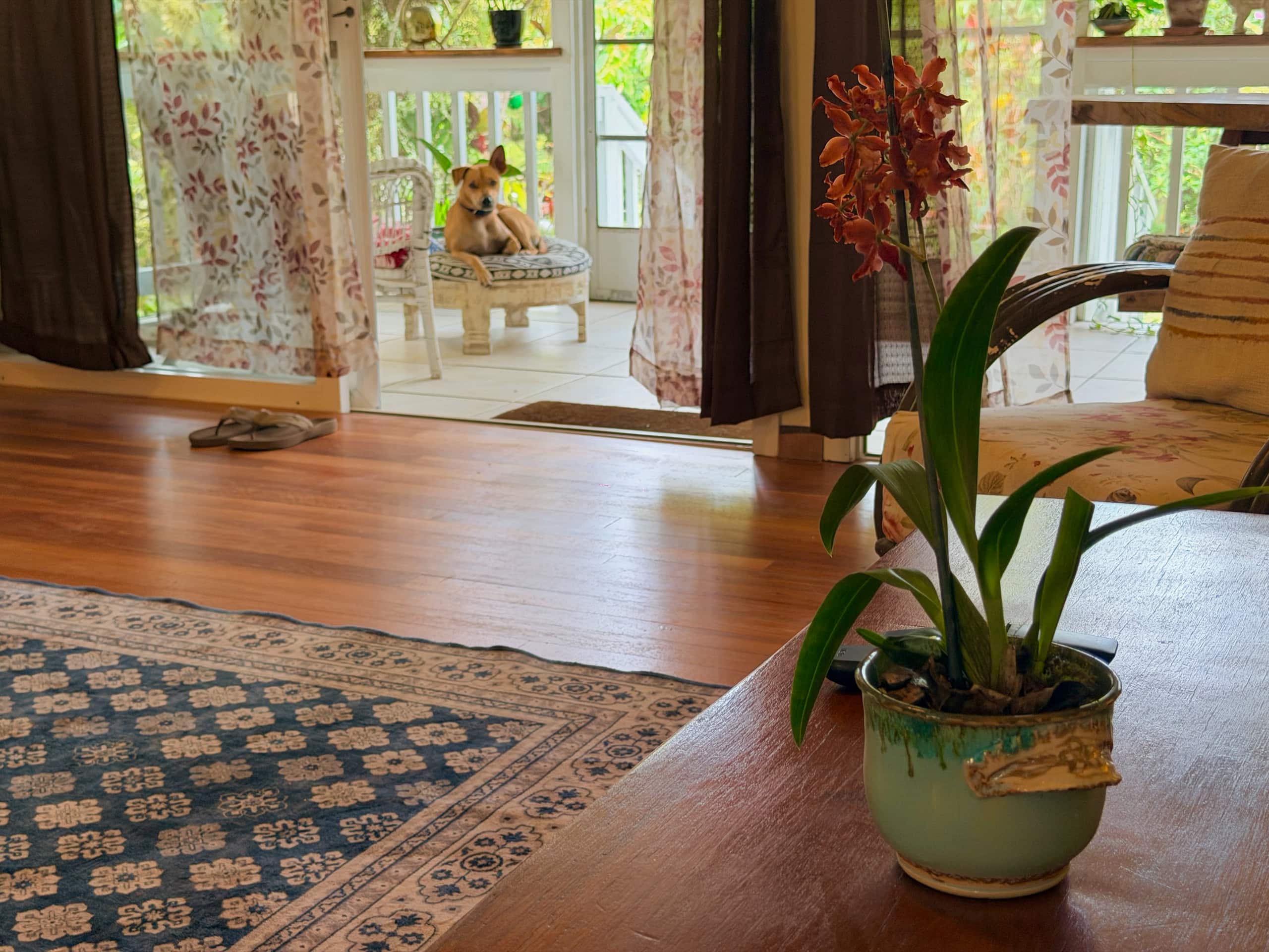 Home in Keaau · ★4.76 · 3 bedrooms · 3 beds · 2 shared baths - Image 5