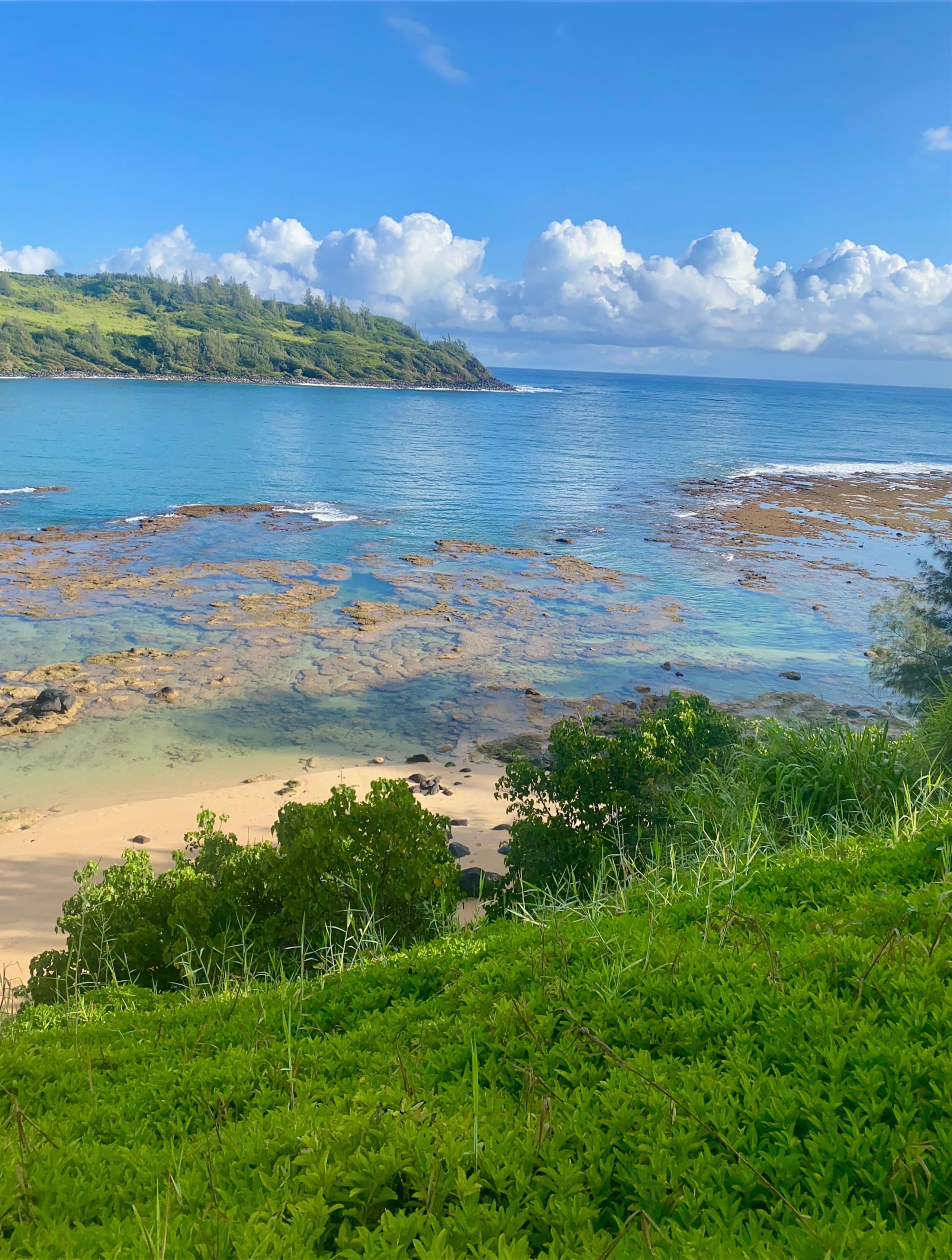Relax & Unwind Escape Oceanfront Epic TVR1328 - Main photo