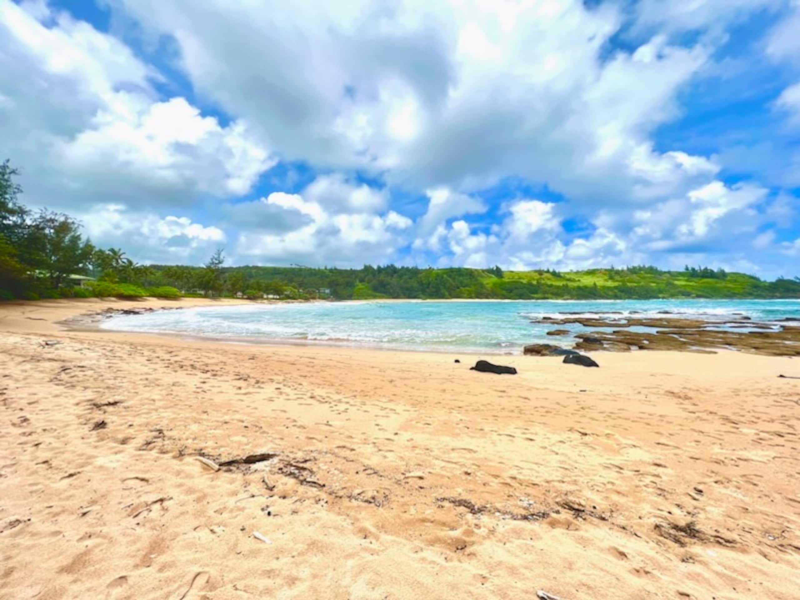 Relax & Unwind Escape Oceanfront Epic TVR1328 - Photo 22