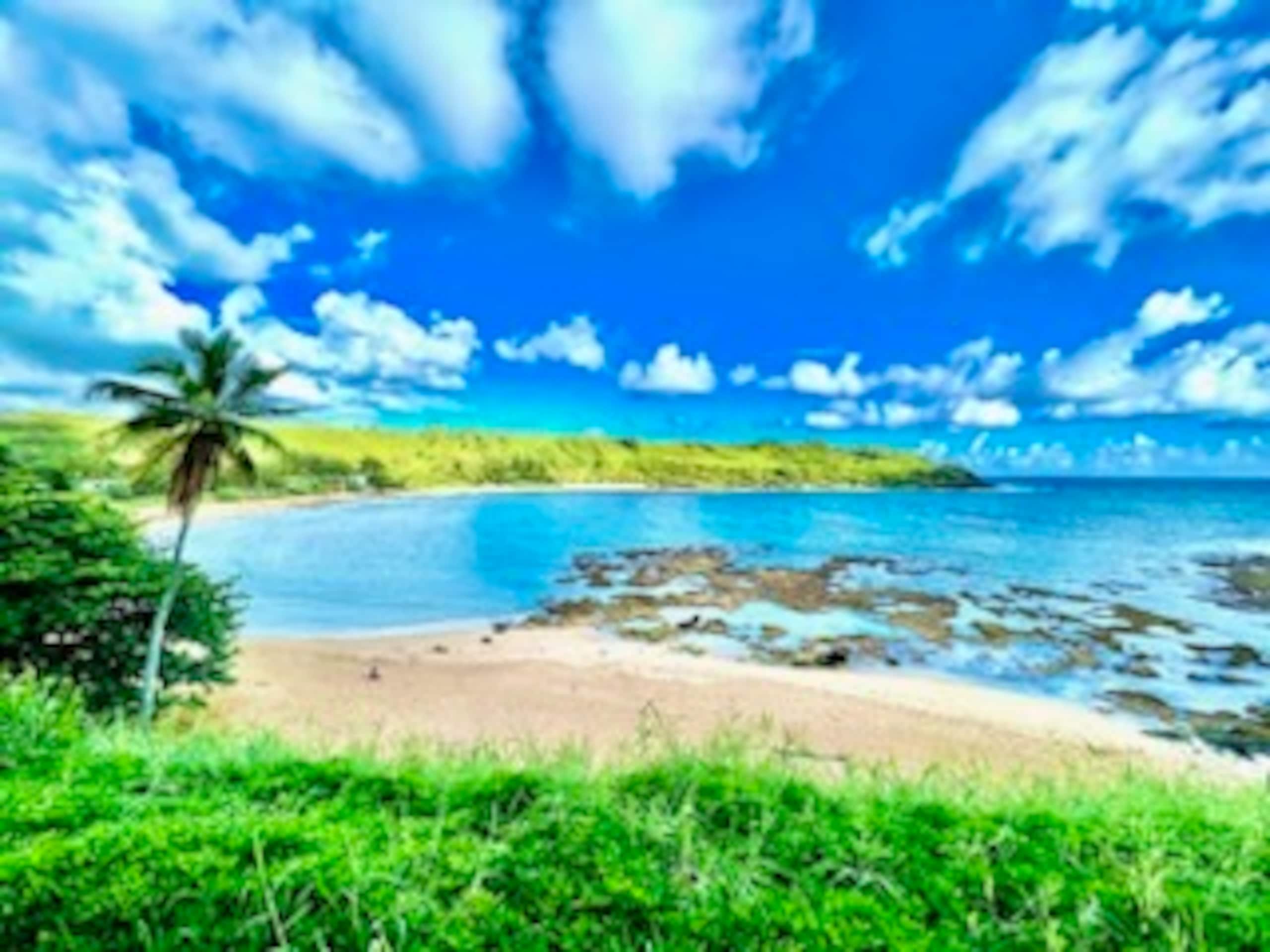 Relax & Unwind Escape Oceanfront Epic TVR1328 - Photo 2