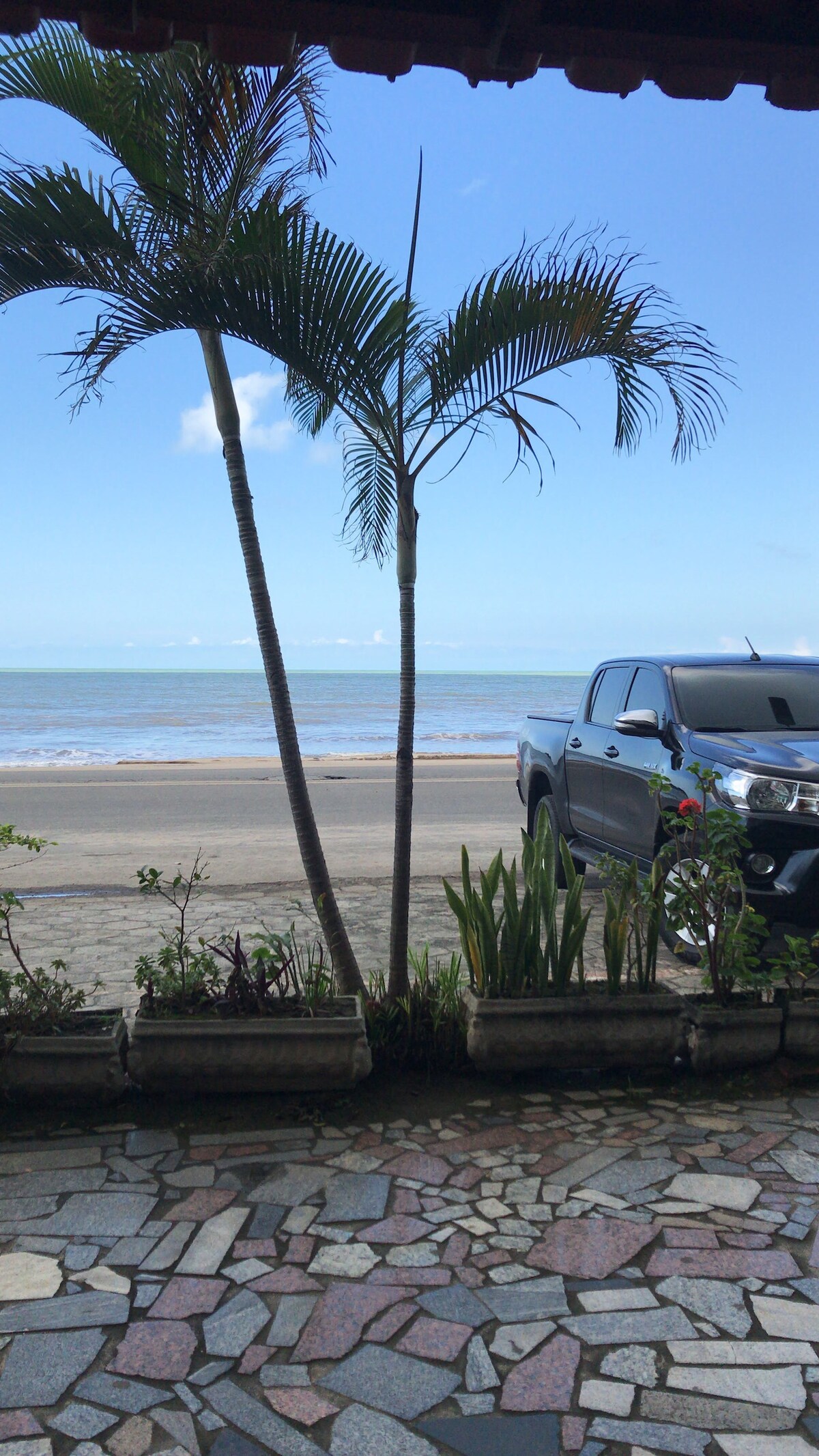 A tranquil view of the beach is framed by palm trees and plants. The ocean stretches into the distance under a clear blue sky. A vehicle is parked nearby, alongside a stone pathway that leads to the beachfront.