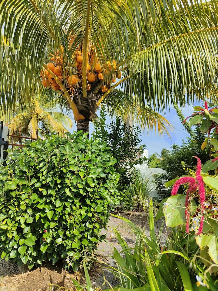 Maison Entière Jardin Proche Plage Marché De Flacq - Mauritius