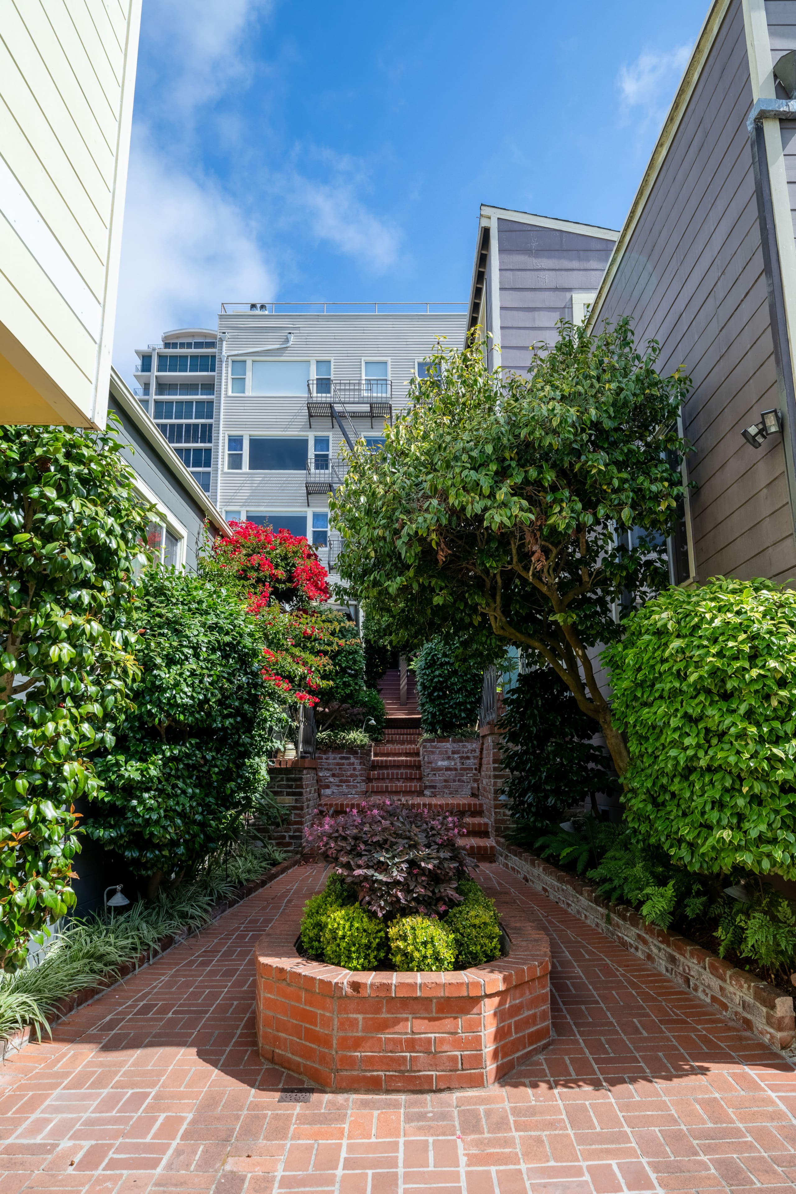 Condo in San Francisco · ★4.96 · 1 bedroom · 1 bed · 1 bath - Image 11