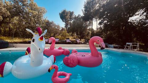 8P, Jacuzzi Pool Provence between Aix &Luberon