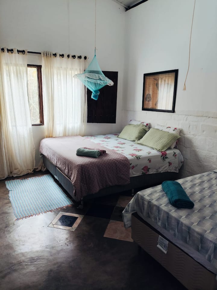 Habitación 1