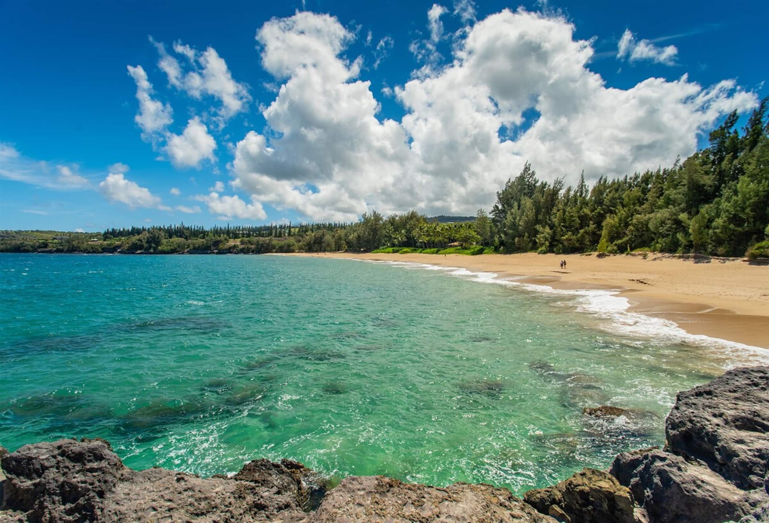 Villa in Lahaina · ★4.97 · 2 bedrooms · 3 beds · 3 baths - Image 55