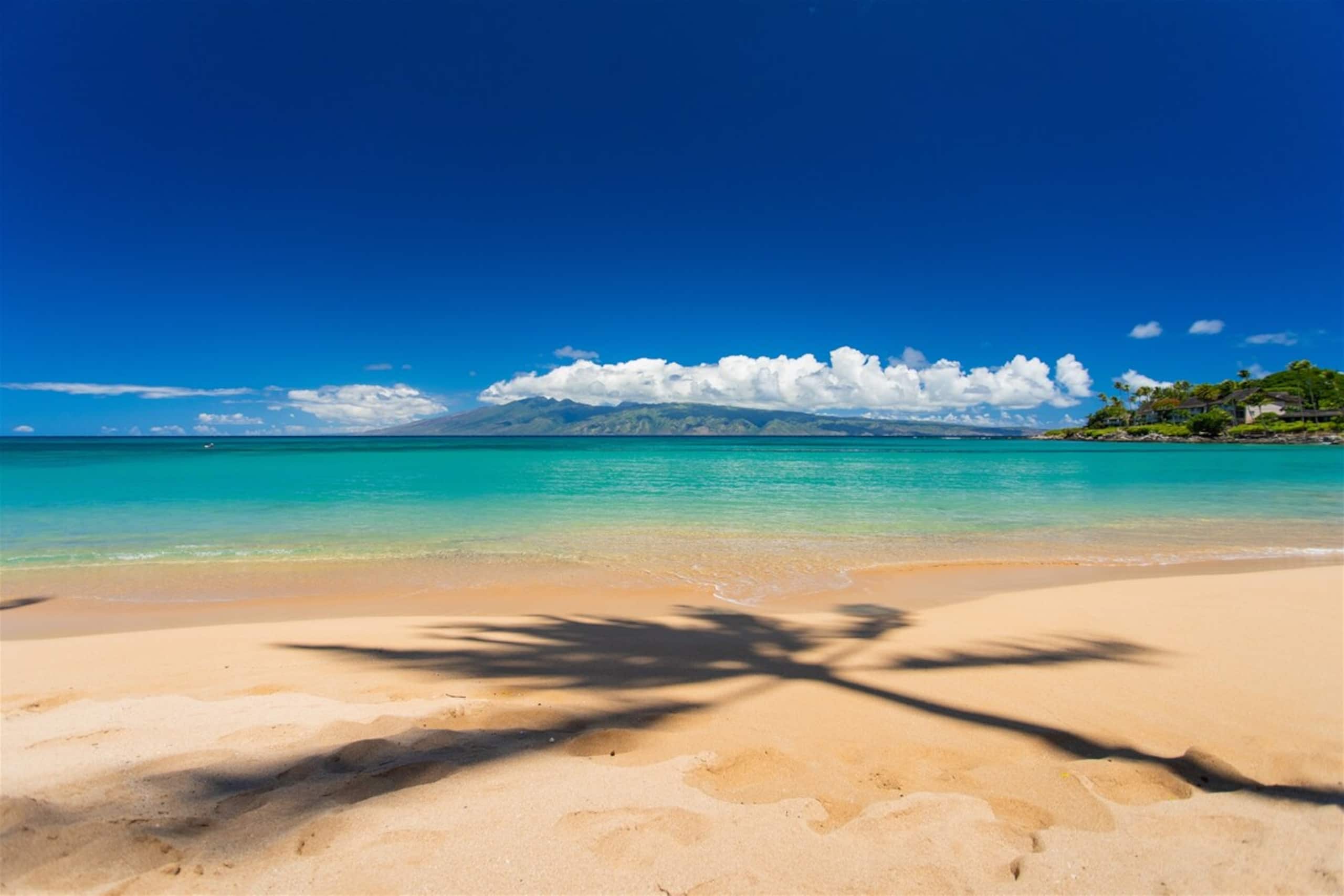 Villa in Lahaina · ★4.97 · 2 bedrooms · 3 beds · 3 baths - Image 56