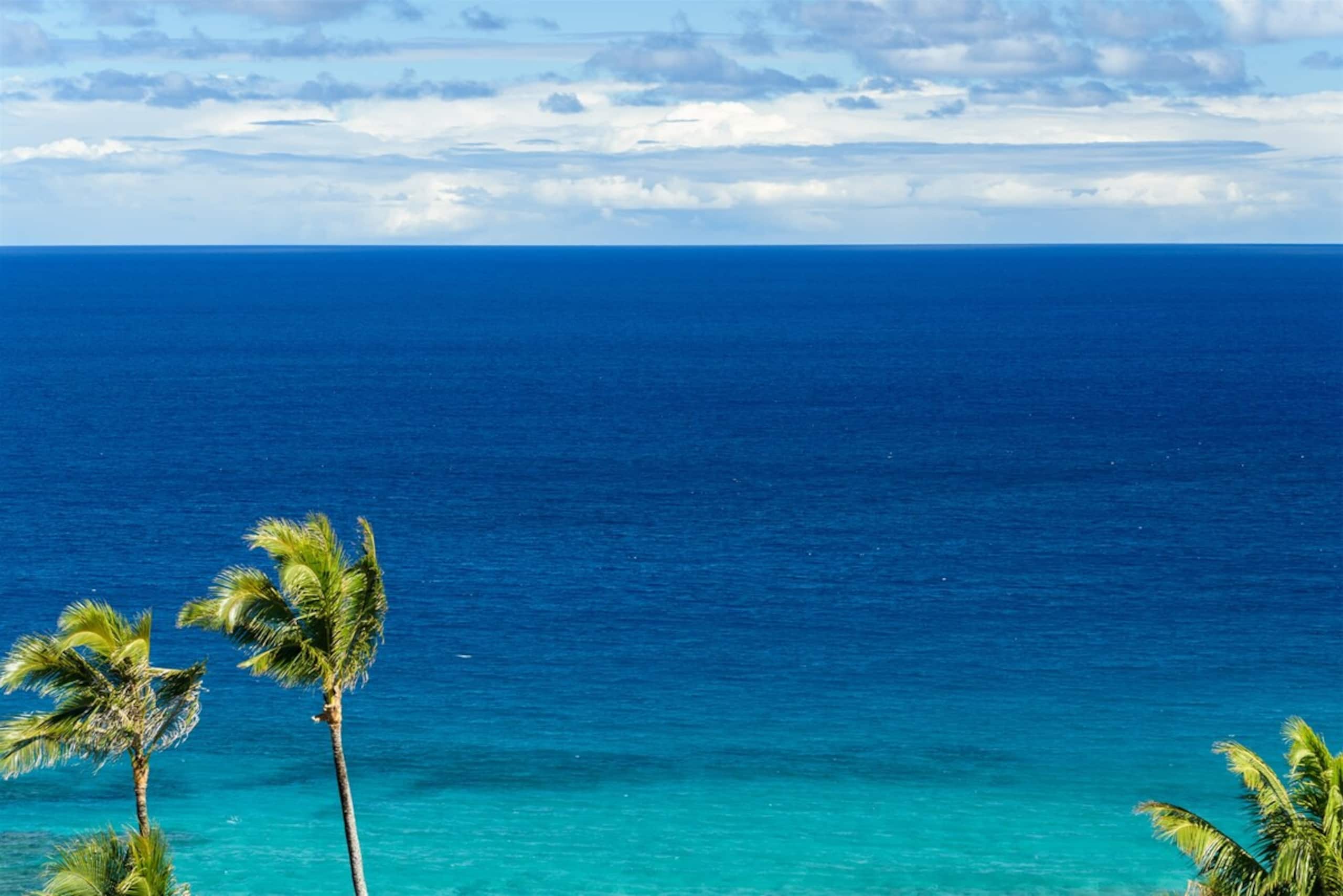 Villa in Lahaina · ★4.97 · 2 bedrooms · 3 beds · 3 baths - Image 16