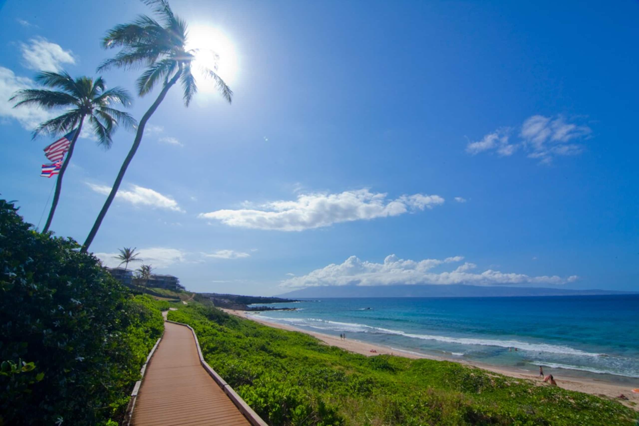 Villa in Lahaina · ★4.97 · 2 bedrooms · 3 beds · 3 baths - Image 61