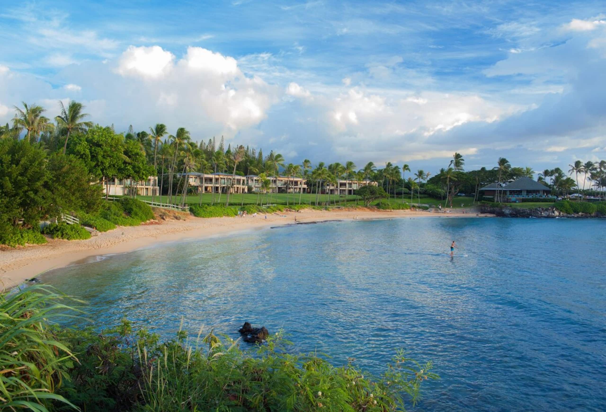 Villa in Lahaina · ★4.97 · 2 bedrooms · 3 beds · 3 baths - Image 54