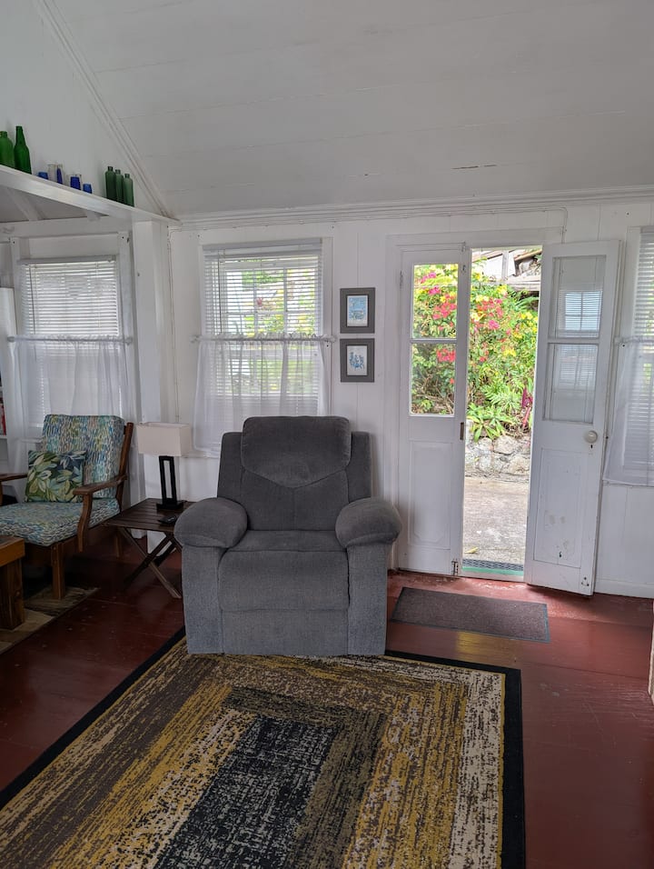 Comfy recliner with view to the back garden
