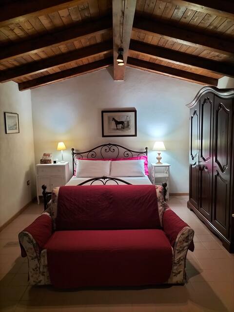 Proprietà Airbnb di successo: House of Roses a Asti