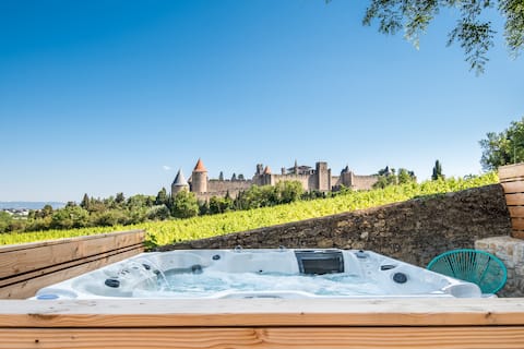 Carcassonne City: beautiful villa, hot tubs, pool