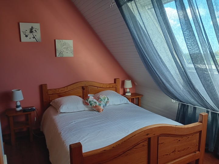 Habitación 2