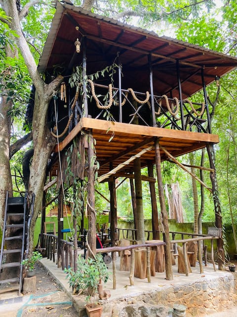 Eco Tree House in Green Park