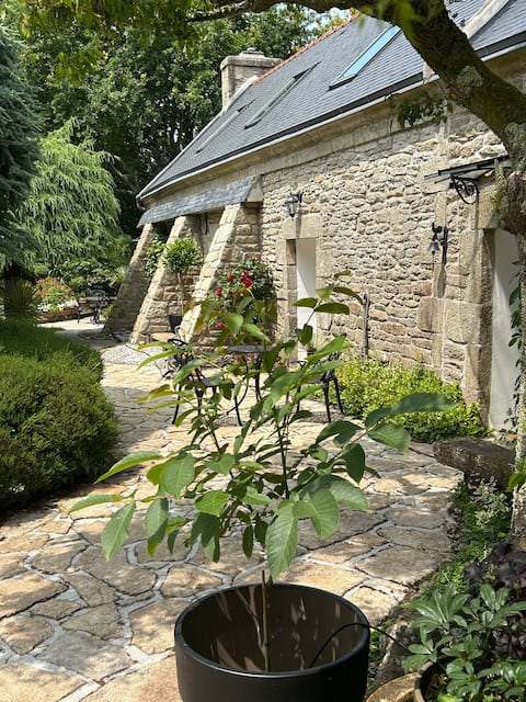 Charming cottage in southern Brittany