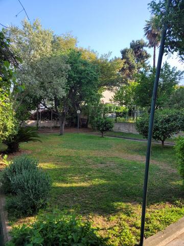 A Unique Experience at Buyukada gallery image 4