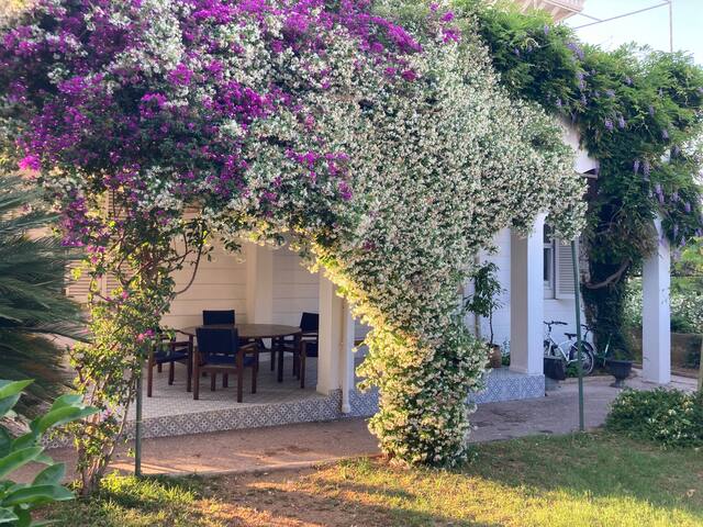 A Unique Experience at Buyukada gallery image 3