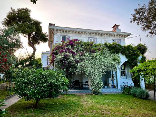 A Unique Experience at Buyukada gallery image 2