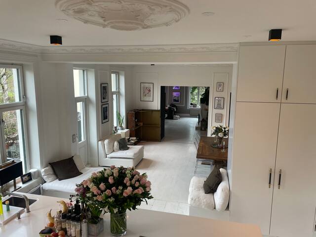 Exclusive historic big 150m2 parkfront in the city gallery image 5