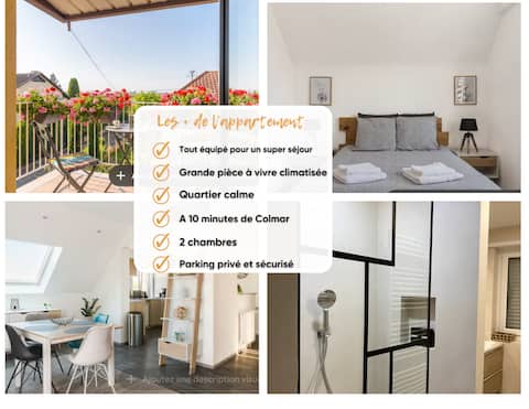 Air-conditioned 70 m2 APARTMENT, close to COLMAR