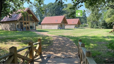 Successful Airbnb property: Nettlebed Farm Holiday Lets, Barn1 of 3 in Winchester