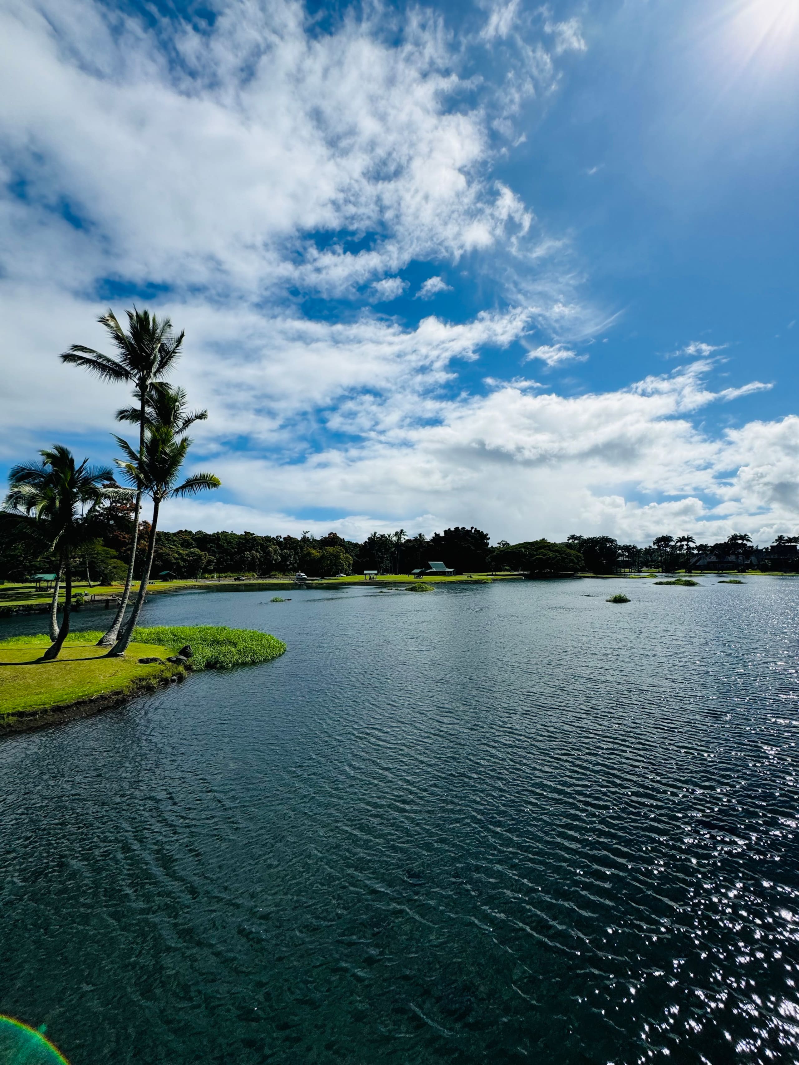 Condo in Hilo · ★4.39 · 1 bedroom · 1 bed · 1 private bath - Image 11