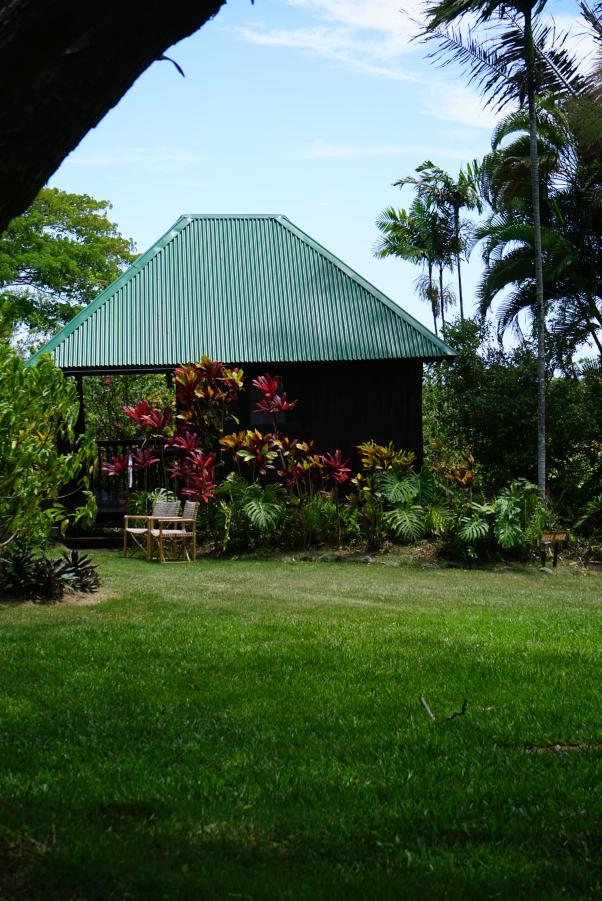 Cabin in Kapaau · ★4.98 · 1 bedroom · 2 beds · 1 shared bath - Image 22