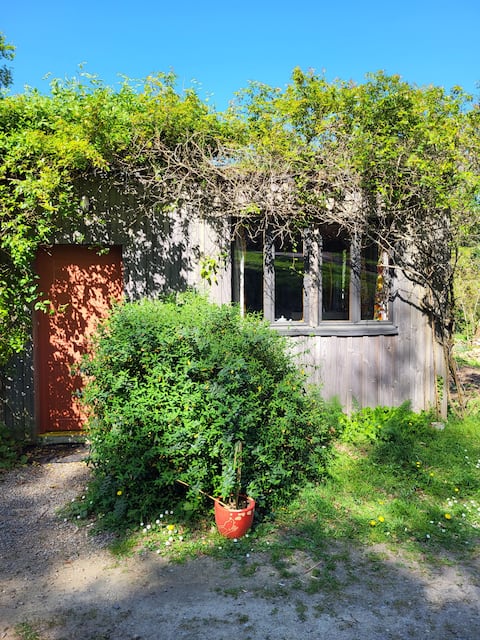 the treehouse in the woods!