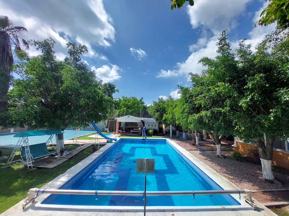 A large swimming pool is surrounded by lush greenery and palm trees. A waterslide is positioned at one end, with a shaded seating area nearby. An expansive sky and scattered clouds are visible above, enhancing the outdoor space.