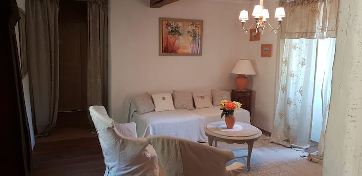 Maison En Pierres, Grand Jardin Spa Proche Rivière - Vernet-les-Bains