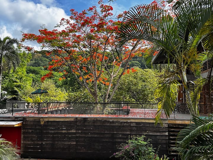 BirdHouse@ Gamboa Panama Canal - Houses for Rent in Gamboa, Colon