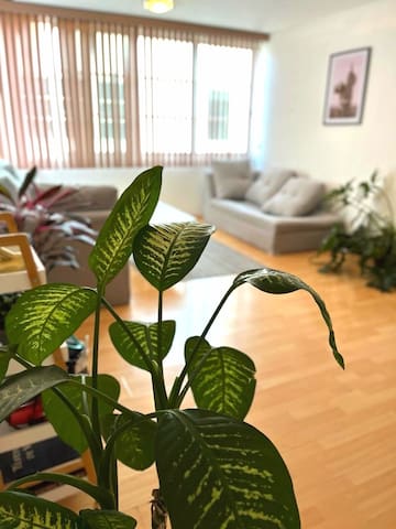 Neat & Hip Apartment in premium location (WTC)***