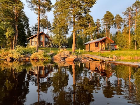 The Unique Lake Tree House