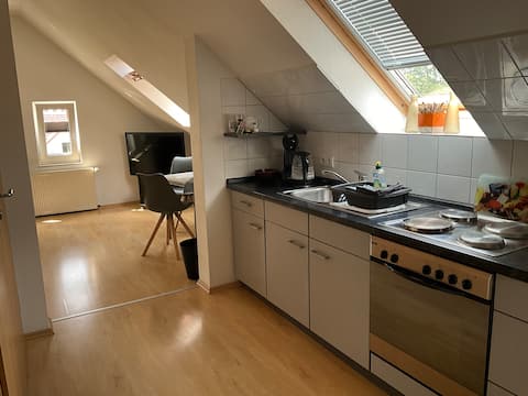 Central apartment loft character