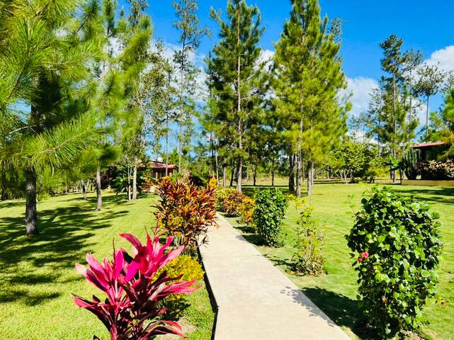 5 acre estate with pool in Mountain Pine Ridge gallery image 2