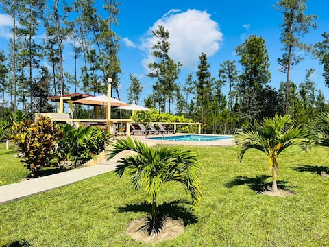 5 acre estate with pool in Mountain Pine Ridge