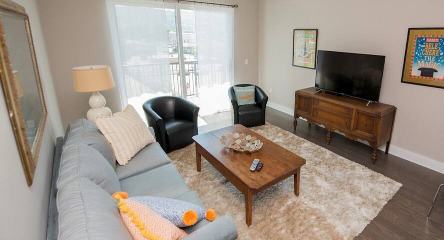 45 Asheland. New downtown luxury condo. #304 gallery image 4