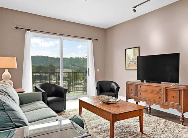 45 Asheland. New downtown luxury condo. #304 gallery image 5