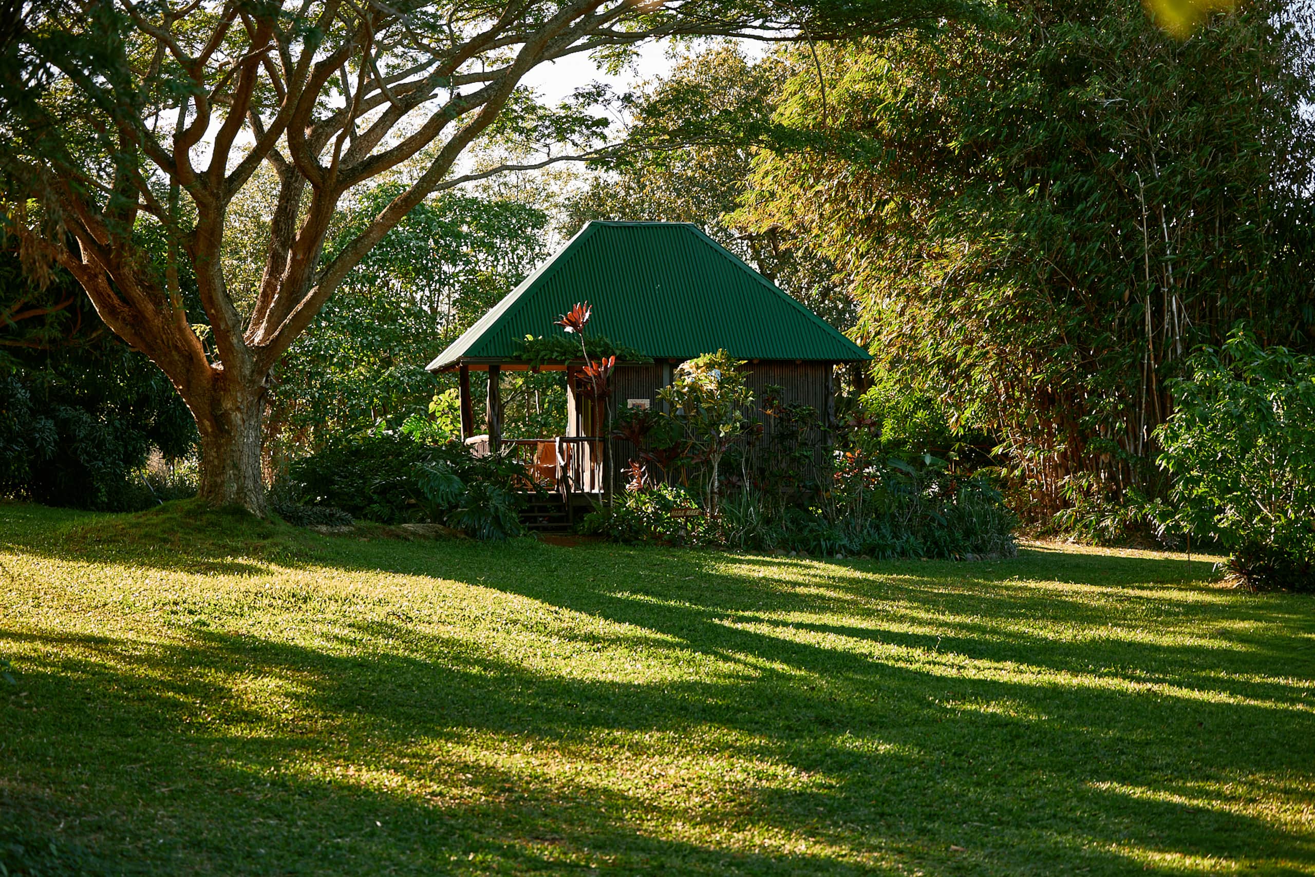 Cabin in Kapaau · ★4.93 · 1 bedroom · 1 bed · 1 shared bath - Image 2