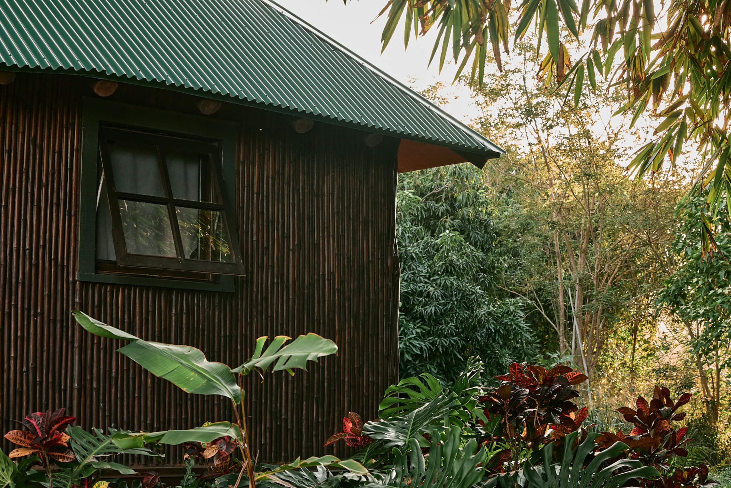Cabin in Kapaau · ★4.93 · 1 bedroom · 1 bed · 1 shared bath - Image 24