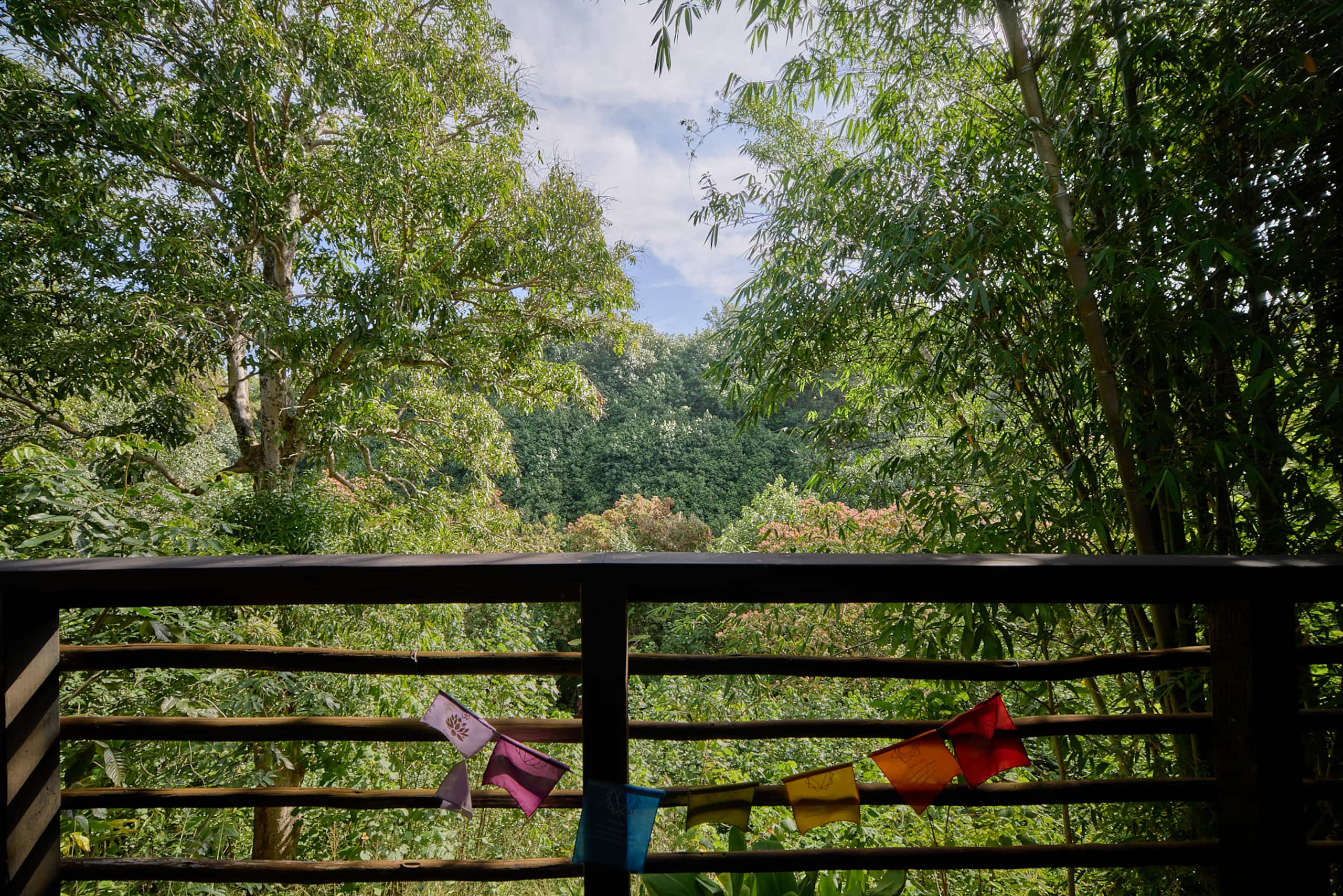 Cabin in Kapaau · ★4.93 · 1 bedroom · 1 bed · 1 shared bath - Image 48