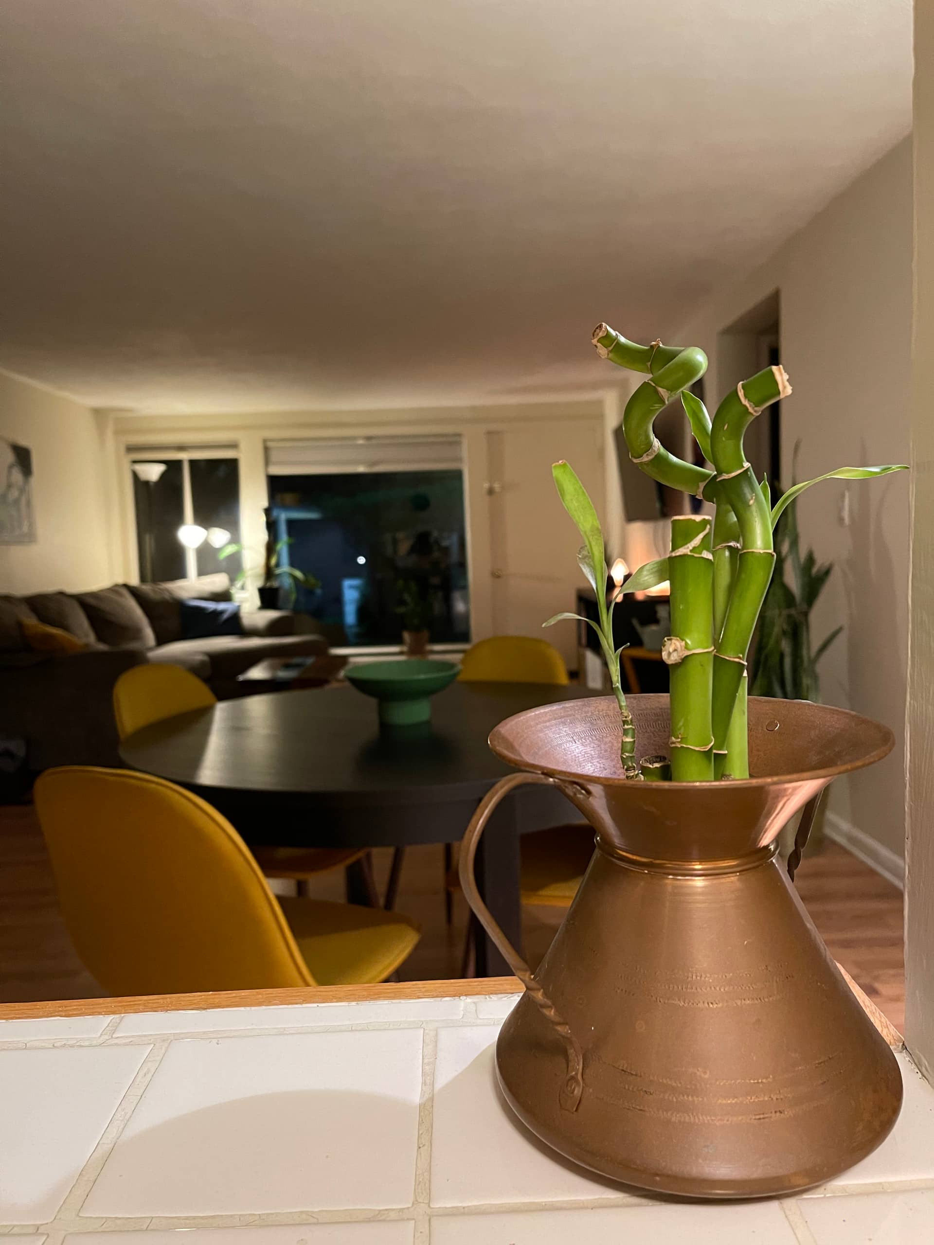 The Plant Haus