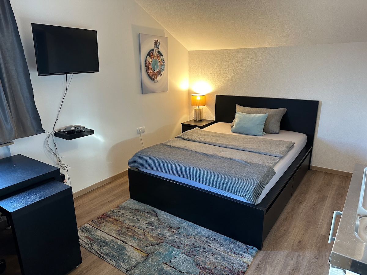 A cozy sleeping area features a spacious bed with soft bedding and a decorative pillow. A bedside table with a lamp and a wall-mounted TV are visible. A small desk and a colorful rug add to the room's comfort, while natural light enters through a partially open curtain.