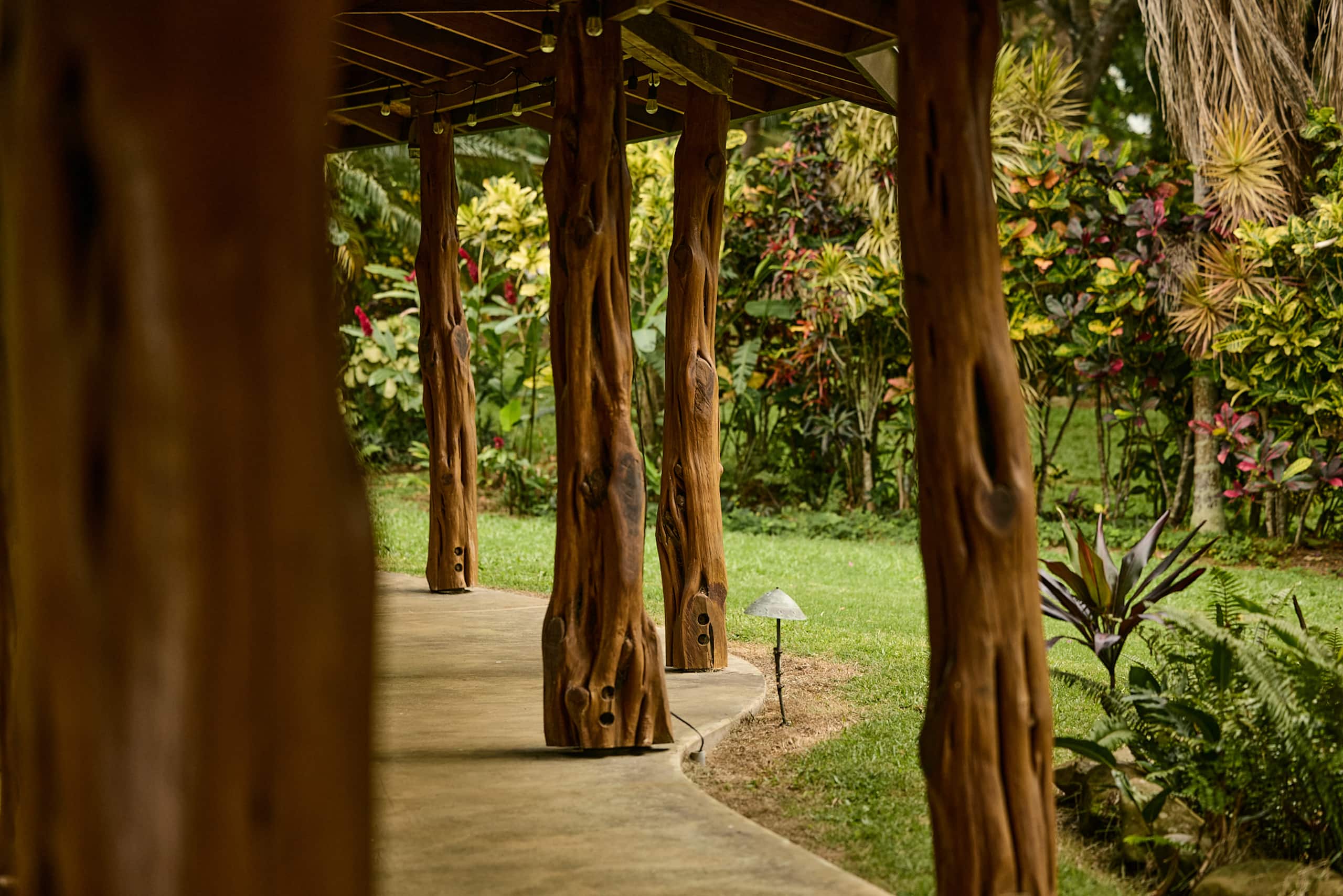 Cabin in Kapaau · ★4.88 · 1 bedroom · 1 bed · 1 shared bath - Image 13