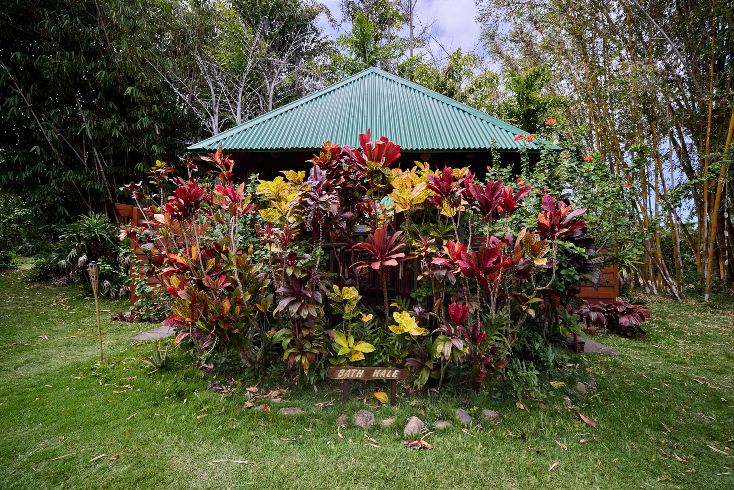 Cabin in Kapaau · ★4.88 · 1 bedroom · 1 bed · 1 shared bath - Image 22