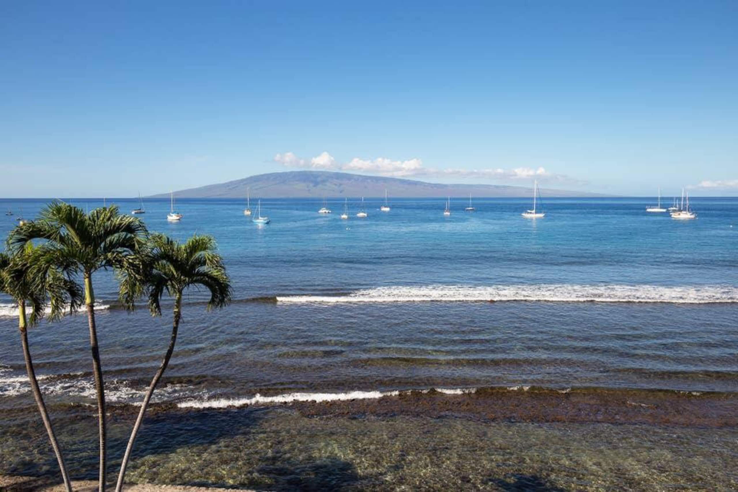 Hotel in Lahaina · ★4.89 · 1 bedroom · 2 beds · 1 private bath - Image 17