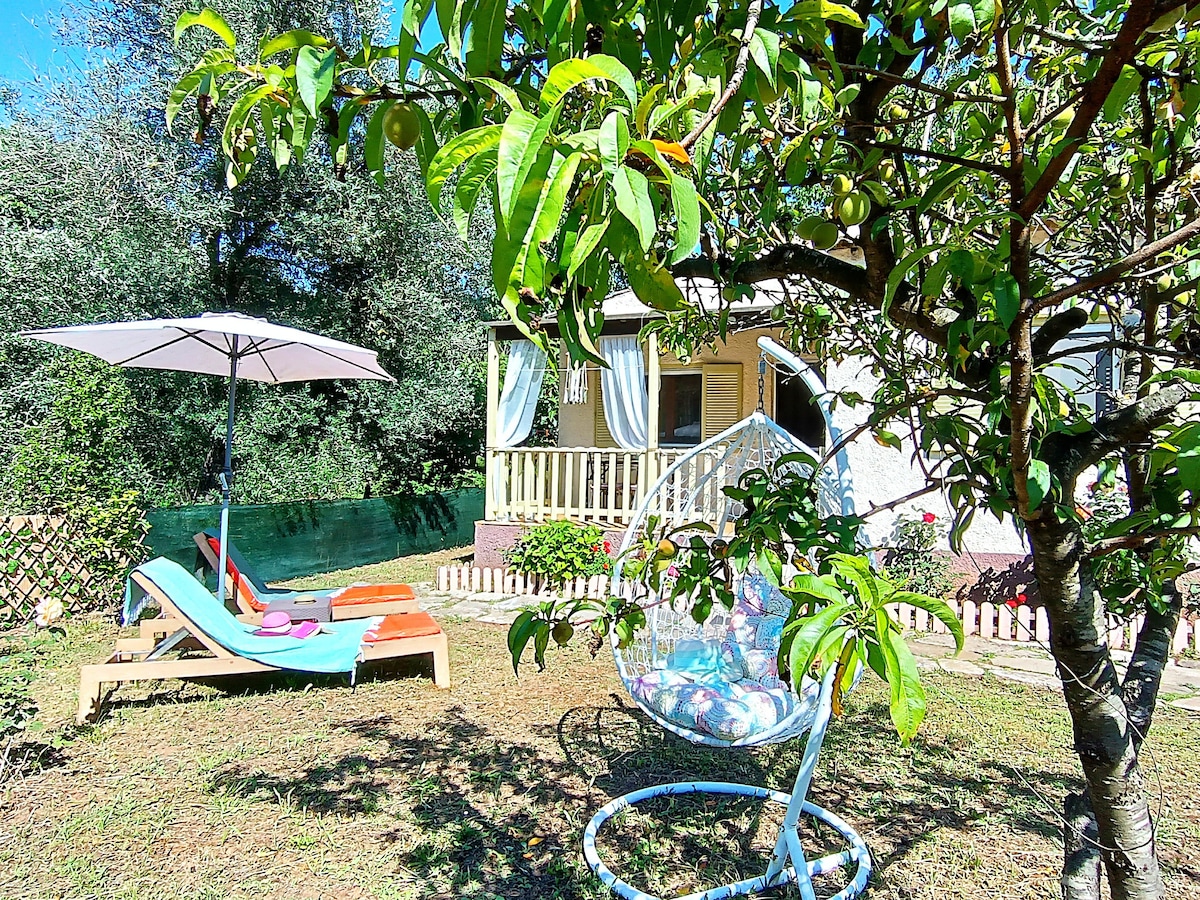 A garden area features a sunbed and a hanging chair surrounded by greenery. An umbrella provides shade for the sunbed, creating a comfortable space for relaxation. Dappled sunlight filters through the leaves of the nearby tree, adding to the tranquil outdoor setting.